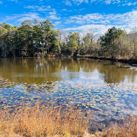cheztyson78